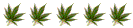 Ganja God Ganja God